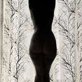 pflower from onlyfans